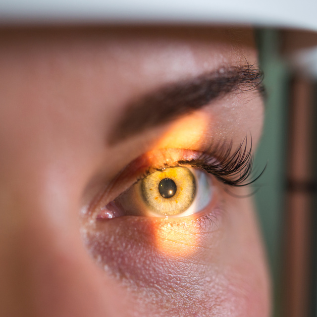 Vision Therapy in First Colony Commons